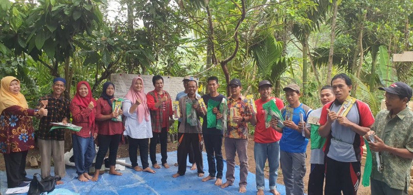 Budidaya tananman kakao