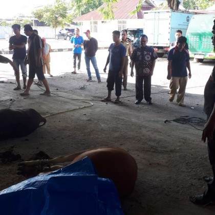 Hari pelaksanaan pemotongan hewan qurban